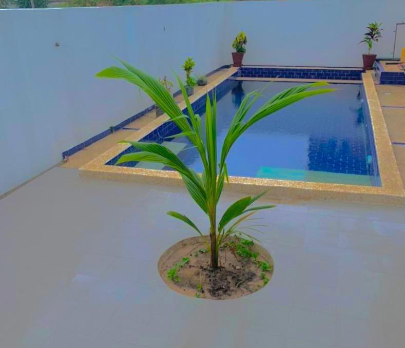 Chez Rama Bed & Breakfast Somone Exterior foto